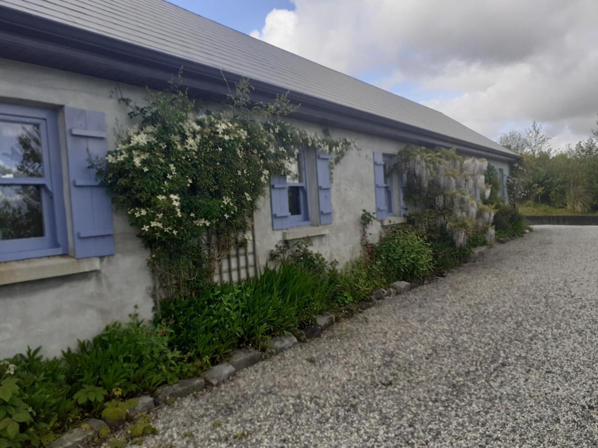 Villa Escape To The Country à Westport Extérieur photo